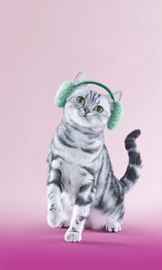 Preview wallpaper cat, headphones, lilac, funny