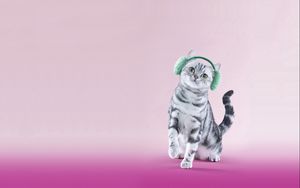 Preview wallpaper cat, headphones, lilac, funny