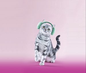 Preview wallpaper cat, headphones, lilac, funny