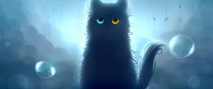Preview wallpaper cat, heterochromia, black cat, art