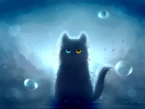 Preview wallpaper cat, heterochromia, black cat, art