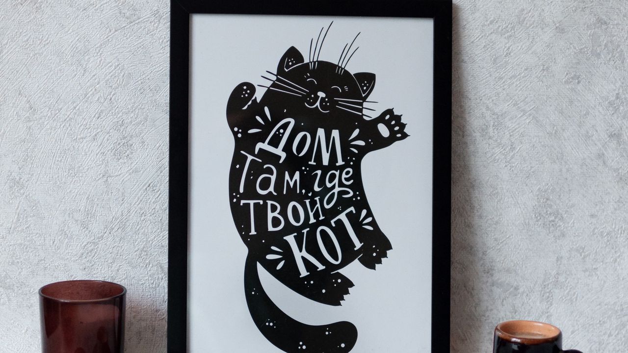 Wallpaper cat, home, phrase, words, picture, art