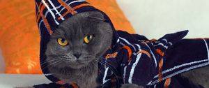 Preview wallpaper cat, hood, fashion, gown, lying
