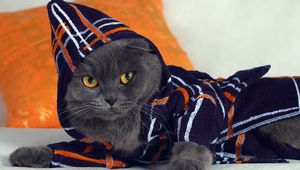 Preview wallpaper cat, hood, fashion, gown, lying