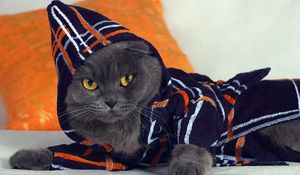 Preview wallpaper cat, hood, fashion, gown, lying