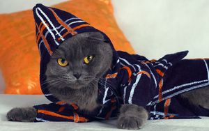 Preview wallpaper cat, hood, fashion, gown, lying