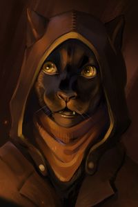 Preview wallpaper cat, hood, glance, art