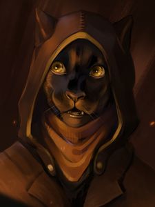 Preview wallpaper cat, hood, glance, art