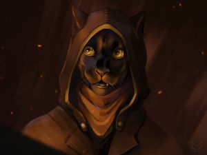 Preview wallpaper cat, hood, glance, art