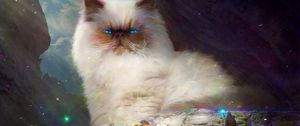 Preview wallpaper cat, king, view, fantasy, art, majestic