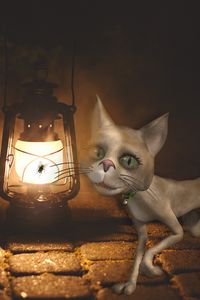Preview wallpaper cat, lamp, art, fly