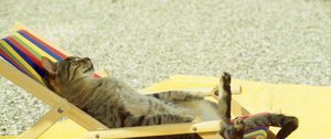 Preview wallpaper cat, lie, lounge, beach, funny