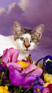 Preview wallpaper cat, lying, flowers, spotted