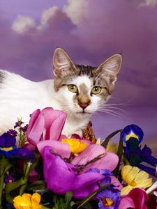 Preview wallpaper cat, lying, flowers, spotted