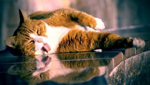 Preview wallpaper cat, lying, tongue, playful, glass, striped