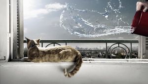 Preview wallpaper cat, lying, windowsill, bucket, water, splash, situation