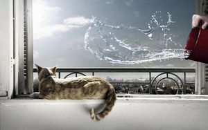 Preview wallpaper cat, lying, windowsill, bucket, water, splash, situation