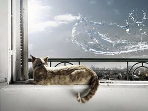 Preview wallpaper cat, lying, windowsill, bucket, water, splash, situation