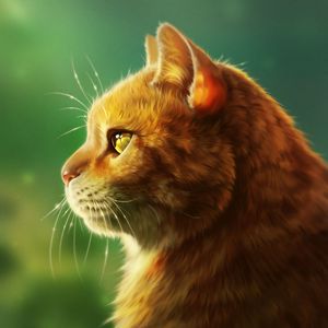 Preview wallpaper cat, muzzle, fluffy, profile, art