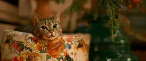 Preview wallpaper cat, new year, christmas tree, garland