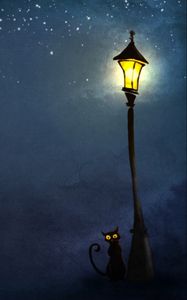 Preview wallpaper cat, night, lights