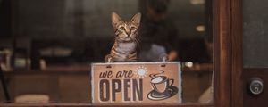 Preview wallpaper cat, open, inscription, coffee