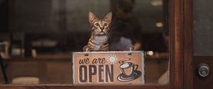 Preview wallpaper cat, open, inscription, coffee