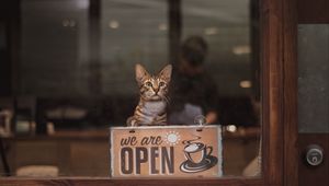 Preview wallpaper cat, open, inscription, coffee