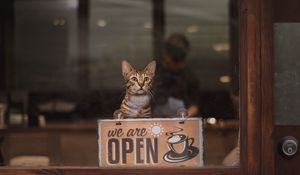 Preview wallpaper cat, open, inscription, coffee