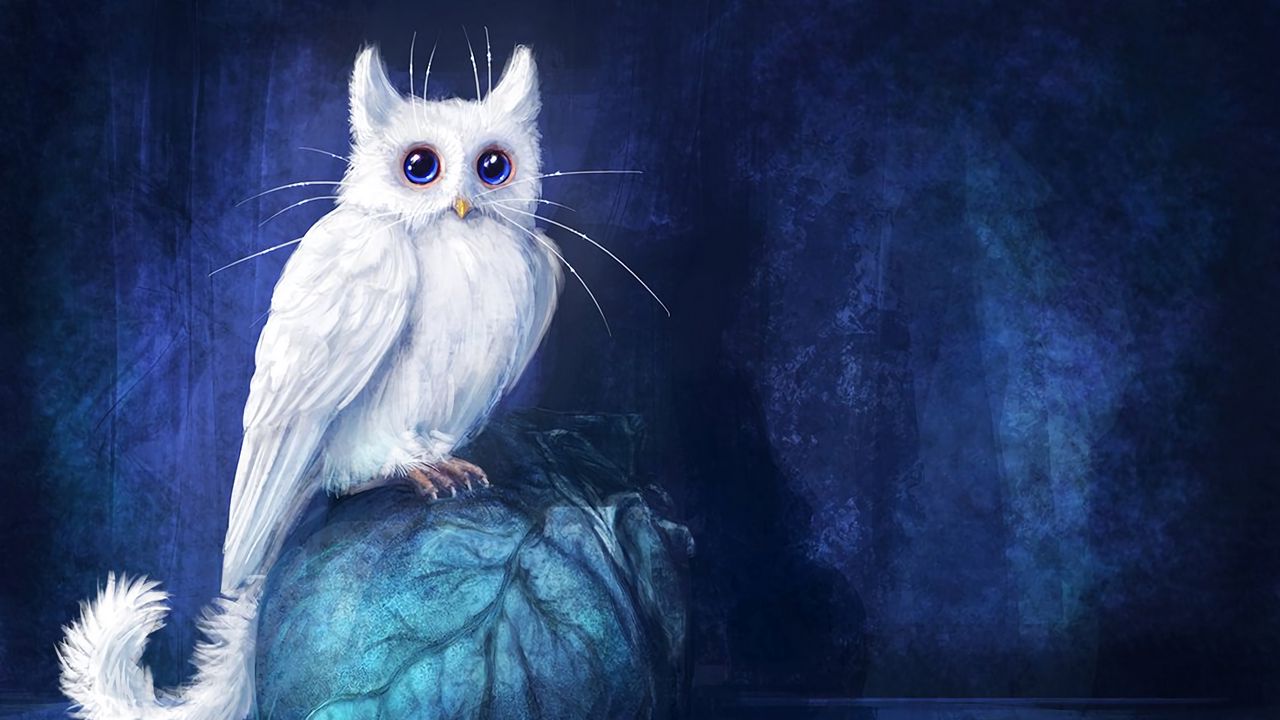 Wallpaper cat, owl, art, fantasy