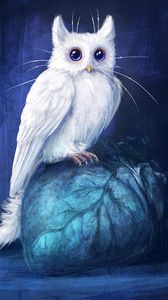 Preview wallpaper cat, owl, art, fantasy