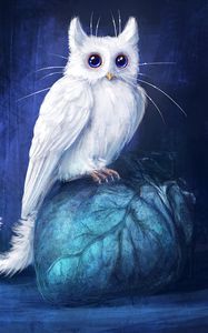 Preview wallpaper cat, owl, art, fantasy