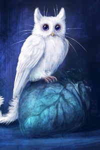 Preview wallpaper cat, owl, art, fantasy