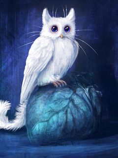 Download wallpaper 240x320 cat, owl, art, fantasy old mobile, cell phone,  smartphone hd background