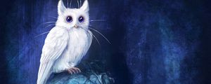 Preview wallpaper cat, owl, art, fantasy