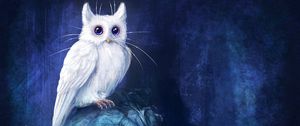 Preview wallpaper cat, owl, art, fantasy