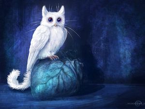 Preview wallpaper cat, owl, art, fantasy
