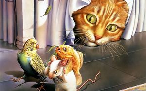 Preview wallpaper cat, parrot, mouse, fish, curiosity