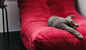 Preview wallpaper cat, pet, animal, relax, chair