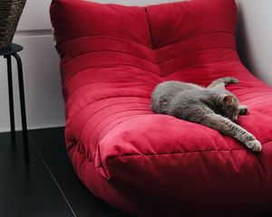 Preview wallpaper cat, pet, animal, relax, chair