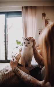 Preview wallpaper cat, pet, girl, friendship