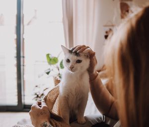Preview wallpaper cat, pet, girl, friendship