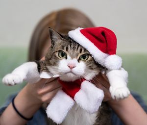 Preview wallpaper cat, pet, glance, hat, new year, christmas