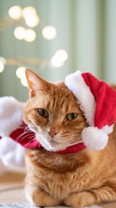 Preview wallpaper cat, pet, hat, new year, christmas