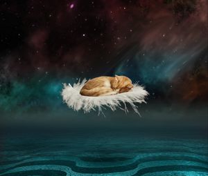 Preview wallpaper cat, photoshop, feather, flight, fantasy