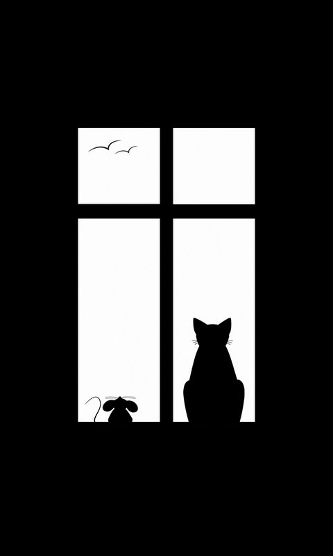 480x800 Wallpaper cat, picture, window, silhouette