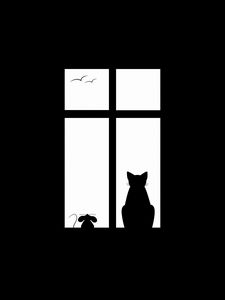 Preview wallpaper cat, picture, window, silhouette