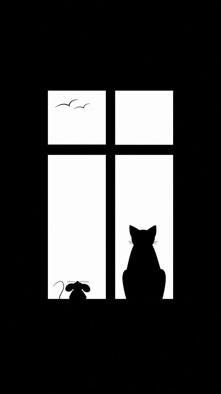 720x1280 Wallpaper cat, picture, window, silhouette