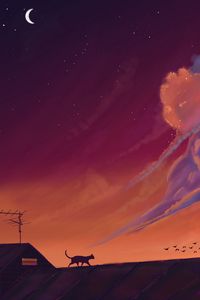 Preview wallpaper cat, roof, birds, night, dark, art