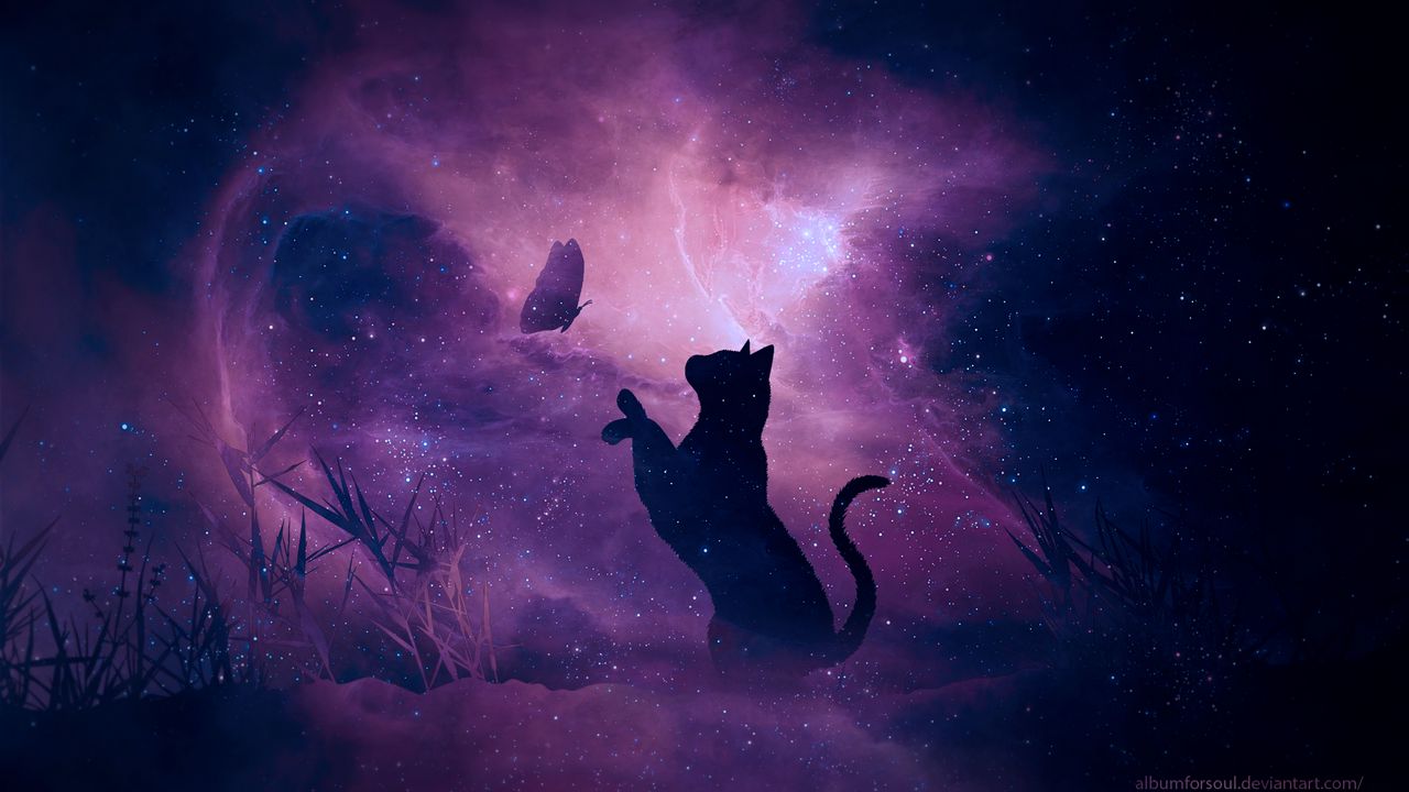 Wallpaper cat, silhouette, butterfly, starry sky, galaxy, stars, shine